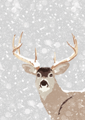 Regard d'un cerf dans la neige d'hiver